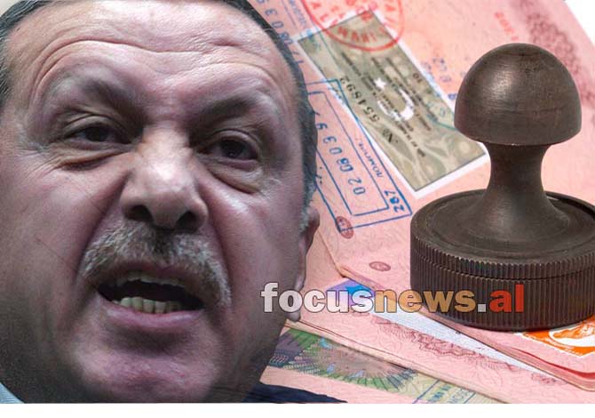 kercenon erdogani 2
