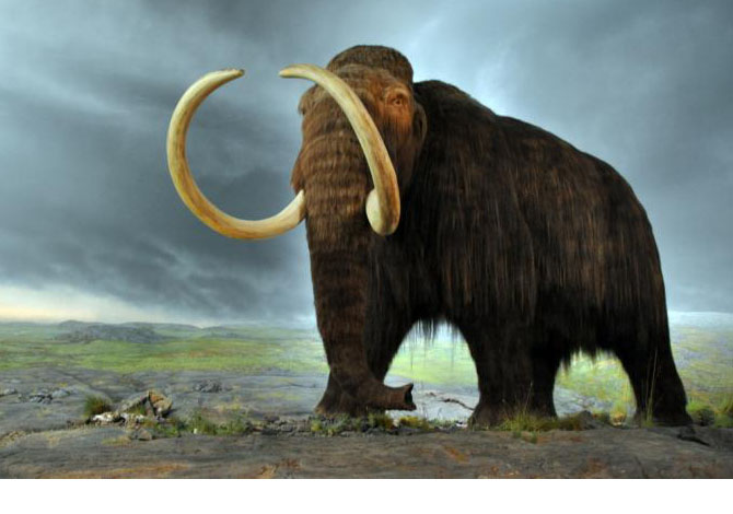 zhdukja e mamutheve